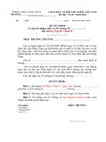 Mẫu quyết định bổ nhiệm tổ trưởng tổ phó tổ chuyên môn