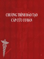 CHƯƠNG TRÌNH ĐÀO TẠO CẤP CỨU CƠ BẢN