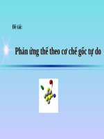 phản ung the theo co che goc 
