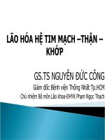 Bài giảng Lão hóa hệ tim mạchthận khớp  TS. BS. Nguyễn Đức Công