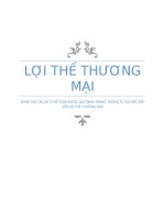 Tiểu luận về Goodwill Lợi thế thương mại