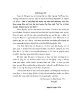 Một số giải pháp đẩy mạnh việc thực hiện chương trình xây dựng nông thôn mới trên địa bàn huyện hà hòa, tỉnh phú thọ từ kinh nghiệm thí điểm tại xã gia điền 