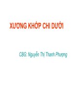 Bài giảng Xương khớp chi dưới  Nguyễn Thị Thanh Phương