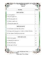 SKKN SỬ DỤNG CÂU ĐỐ VÀO DẠY LSĐL LỚP 45
