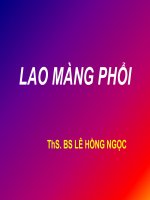 Bài giảng Lao màng phổi  ThS. BS. Lê Hồng Ngọc