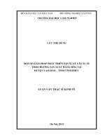 Một số giải pháp phát triển sản xuất cây su su theo hướng sản xuất hàng hóa tại huyện tam đảo, tỉnh vĩnh phúc 