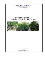 Tài liệu Quy trình kỹ thuật chăm sóc cây mai vàng Yên Tử