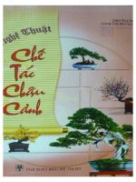 Ebook Nghệ thuật chế tác chậu cảnh