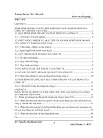 Tổ chức công tác kế toán tiêu thụ và xác định kết quả kinh doanh tại công ty TNHH FSI Việt Nam