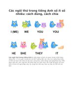 Các ngôi thứ trong tiếng anh số ít số nhiều cách dùng, cách chia 
