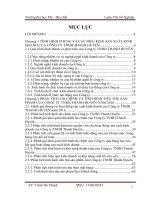 Tổ chức công tác kế toán tiêu thụ và xác định kết quả kinh doanh của công ty TNHH Thanh Huyền