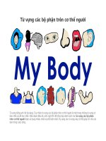 Từ vựng các bộ phận trên cơ thể người 