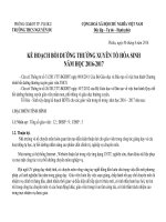 kẾ HOẠCH BDTX 2016 2017 tổ hóa SINH 
