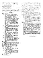 Tuyển tập 20 đề thi học sinh giỏi môn hoá học lớp 9 có đáp án