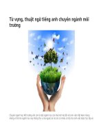 Từ vựng, thuật ngữ tiếng anh chuyên ngành môi trường 