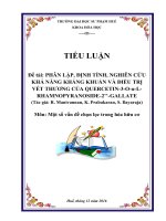 PHÂN LẬP, ĐỊNH TÍNH, NGHIÊN CỨU KHẢ NĂNG KHÁNG KHUẨN VÀ ĐIỀU TRỊ VẾT THƯƠNG CỦA QUERCETIN  RHAMNOPYRANOSIDE GALLATE