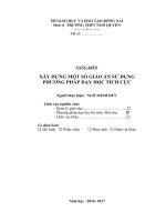 skkn xây DỰNG một số GIÁO án sử DỤNG PHƯƠNG PHÁP dạy học TÍCH cực 