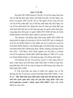 Đặc điểm lâm sàng thần kinh, hình ảnh tổn thương não và mối liên quan giữa lâm sàng với cận lâm sàng bệnh viêm não do Toxoplasma gondii ở bệnh nhân HIVAIDS (tt)