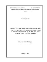 Nghiên cứu đặc điểm nội soi, mô bệnh học, các týp cagA, vacA của Helicobacter pylori và tính đa hình của IL1β, IL1RN, IL8, TNFα ở bệnh nhân ung thư dạ dày.