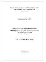 Nghiên cứu các biện pháp bảo tồn thiên địch của rầy nâu (nilaparavata lugens stål) hại lúa tại cần thơ 
