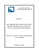 Quản trị kênh phân phối sản phẩm phân bón trên thị trường tây nguyên của công ty cổ phần phân bón bình điền 