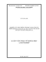 Nghiên cứu đặc điểm lâm học loài lùng tự nhiên (bambusa longissima sp nov) tại xã tân xuân huyện vân hồ tỉnh sơn la 