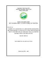 Nghiên cứu ảnh hưởng của môi trường dinh dưỡng đến sinh trưởng và năng suất cà chua bằng kĩ thuật thuỷ canh trên các nền giá thể khác nhau tại trường đại học nông lâm thái nguyên 