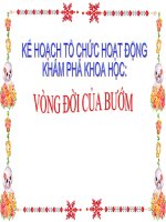 giáo án điện tử vòng đời của bướm