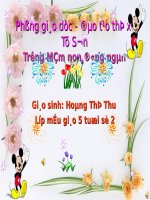 giáo án ve hoa tang co