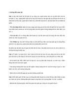 I Tuyên bố thế giới về sự sống còn, quyền được bảo vệ và phát triển của trẻ em