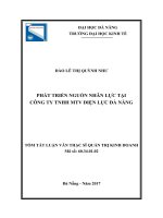 Phát triển nguồn nhân lực tại công ty TNHH điện lực đà nẵng 