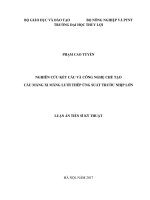 Nghiên cứu kết cấu và công nghệ chế tạo cầu máng xi măng lưới thép ứng suất trước nhịp lớn 