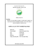 Nghiên cứu đặc điểm lâm học và phân bố tự nhiên cây xoan đào (pygeum arboreum endl) tại xã yên nhuận   huyện chợ đồn   tỉnh bắc kạn 