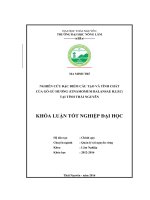 Nghiên cứu đặc điểm cấu tạo và tính chất của gỗ gù hương (cinamomum balansae h lec) tại thái nguyên 
