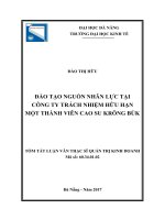Đào tạo nguồn nhân lực tại công ty trách nhiệm hữu hạn một thành viên cao su krông búk 