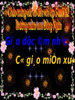 giáo án cô giáo miền xuôi