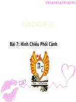 Bai 7 hinh chieu phoi canh 