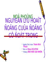 Nguyen ly hoat dong cua dong co dot trong 