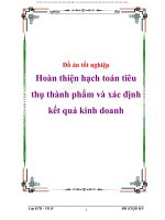 Đồ án tốt nghiệp hoàn thiện hạch toán tiêu thụ thành phẩm và xác định kết quả kinh doanh