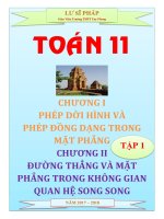 Phân dạng và bài tập Hình học 11 học kỳ I  Lư Sĩ Pháp