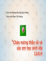 bai 27he thong cung cap nhien lieu va khong khitrong dong co xang 