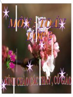 Toan 3  tuan 2   phep tru cac so co ba chu so