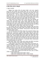 Báo cáo TN mạch đếm và phân loại sản phẩm NOI DUNG