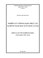 Nghiên cứu tính đa dạng thực vật tại rừng ngập mặn Xuân Đám, Cát Bà