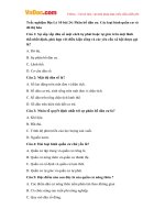 Trắc nghiệm địa lý 10 bài 24 phân bố dân cư  các loại hình quần cư và đô thị hóa