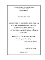 Nghiên cứu về đặc điểm hình thái và giải phẫu loài bồ hòn (Sapindus saponaria Line) tại Trạm đa dạng sinh học Mê Linh - Vĩnh Phúc