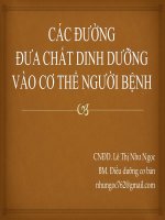 Bài giảng Các đường đưa chất dinh dưỡng vào cơ thể người bệnh  Lê Thị Như Ngọc