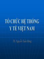 TỔ CHỨC HỆ THỐNG Y TẾ VIỆT NAM