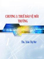 Chuong 3 thuế Bảo vệ môi trướng
