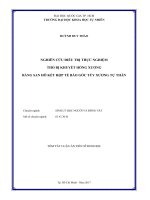 Nghiên cứu điều trị thực nghiệm thỏ bị khuyết hổng xương bằng san hô kết hợp tế bào gốc tủy xương tự thân 